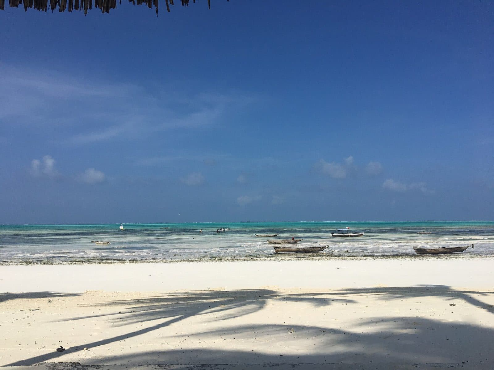 Palm shadows over white sand at Jambiani, with fishing boats resting on the reef lagoon under a deep blue sky