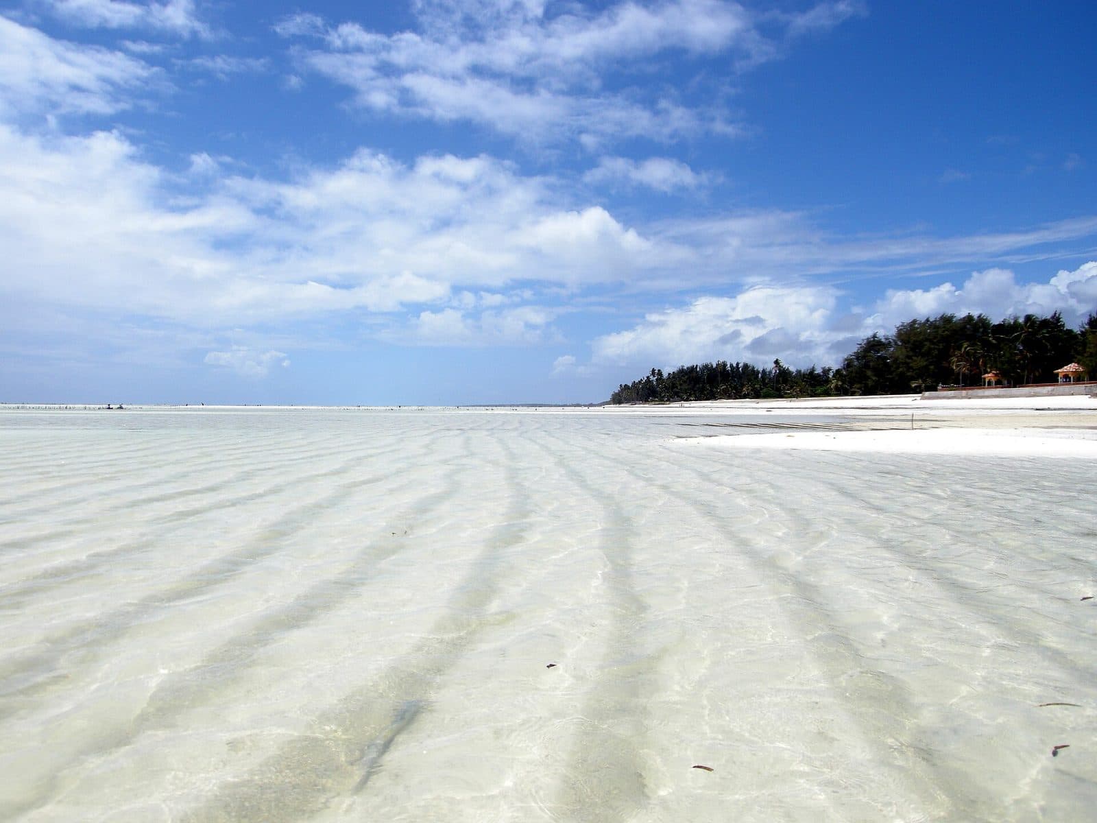 The vast white tidal flats of Paje at low tide under a blue sky, with the treeline far in the distance